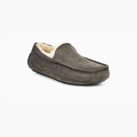 UGG Ascot - Tøfler Herre - Dyp Grå (NO-I291)